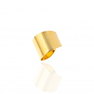 Ασημένιο 925 Δαχτυλίδι- Σεβαλιέ σε κίτρινο Χρυσό AJ(DA0049X)