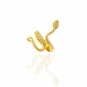 Ασημένιο 925-Δαχτυλίδι Γυναικείο Φίδι σε Χρυσό AJ(DA0056X)