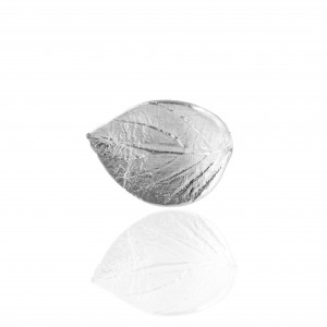 Ασημένιο 925-Δαχτυλίδι Φύλλο Γυναικείο σε Ασημί AJ(DA0096A)
