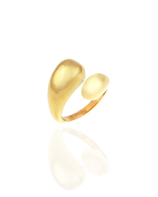 Δαχτυλίδι Γυναικείο- Διπλό από Ατσάλι σε Κίτρινο Χρυσό AJ(DK0040X)