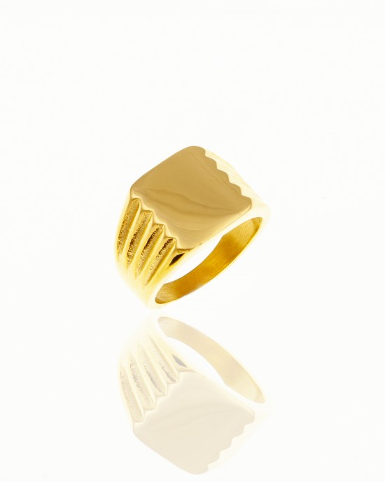 Δαχτυλίδι Ανδρικό Από Ατσάλι σε Κίτρινο Χρυσό AJ(DKS0030X)