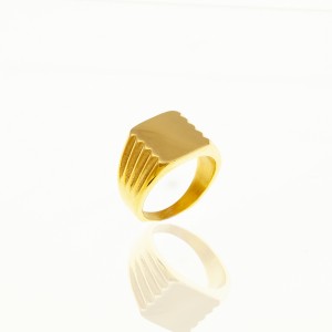 Men's Steel Ring in Yellow Gold AJ (DKS0030X)