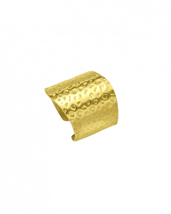 Ασημένιο 925 Δαχτυλίδι-Σεβαλιέ  σε Κίτρινο Χρυσό AJ(DKS0090X)