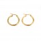 women's Stainless Steel earrings with gold color AJ(SKK0024X)