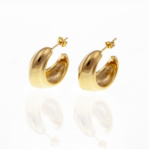  Earrings-Steel Earrings in Gold AJ (SKK0061X)