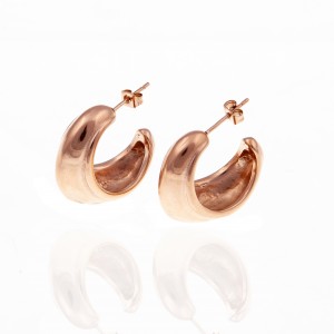  Earrings-Steel Earrings in Rose Gold AJ (SKK0062RX)