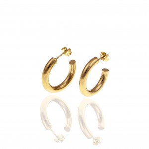 Women's Steel Earrings in Yellow Gold AJ (SKK0071X)